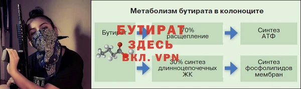 гашик Дмитровск