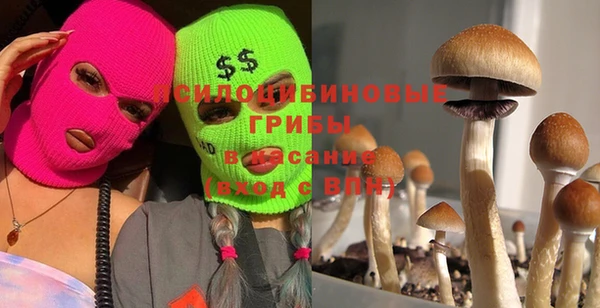 ALPHA PVP Осташков