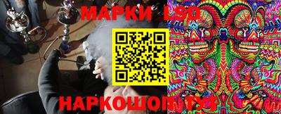 спайс Гай