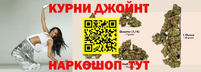 спайс Гай