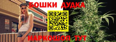 твердый Гатчина