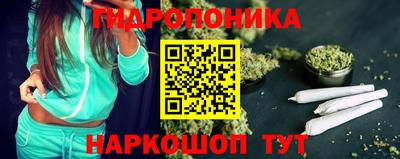 спайс Гай