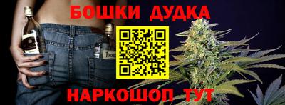 спайс Гай