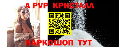 спайс Гай