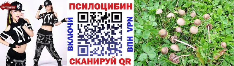 как найти закладки  Балашов  Псилоцибиновые грибы Magic Shrooms 