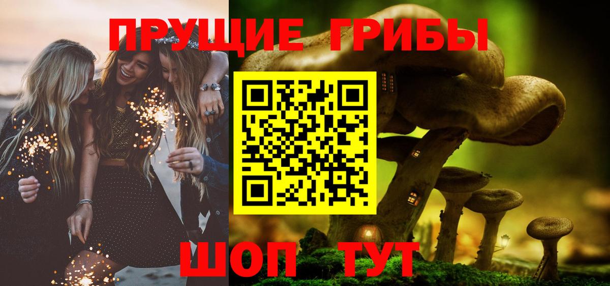 где купить наркоту  Галлюциногенные грибы прущие грибы  Вход с VPN  Балашов 